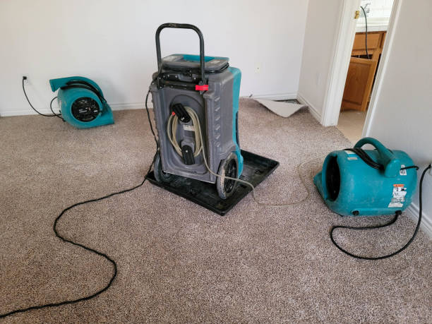 Best Mold removal after water damage  in Enterprise, WV
