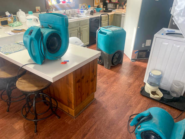 Best Flooded house restoration  in Enterprise, WV
