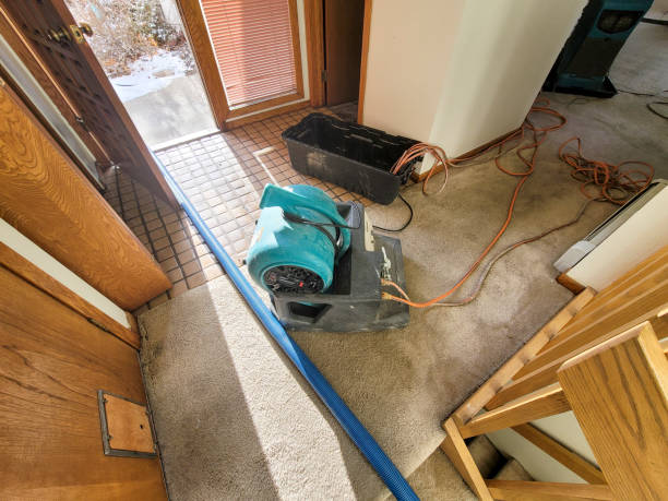 Best Water damage restoration mold remediation  in Enterprise, WV