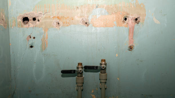 Best Sewage cleanup and water damage restoration  in Enterprise, WV