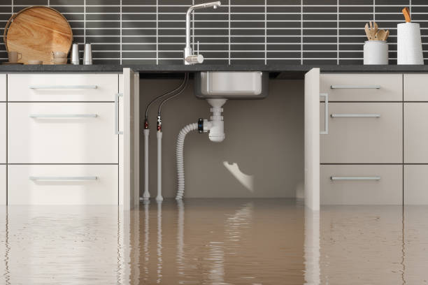Best Ceiling water damage repair  in Enterprise, WV