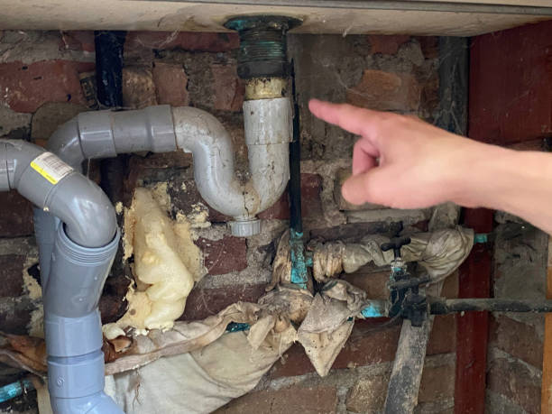 Best Basement water damage restoration  in Enterprise, WV